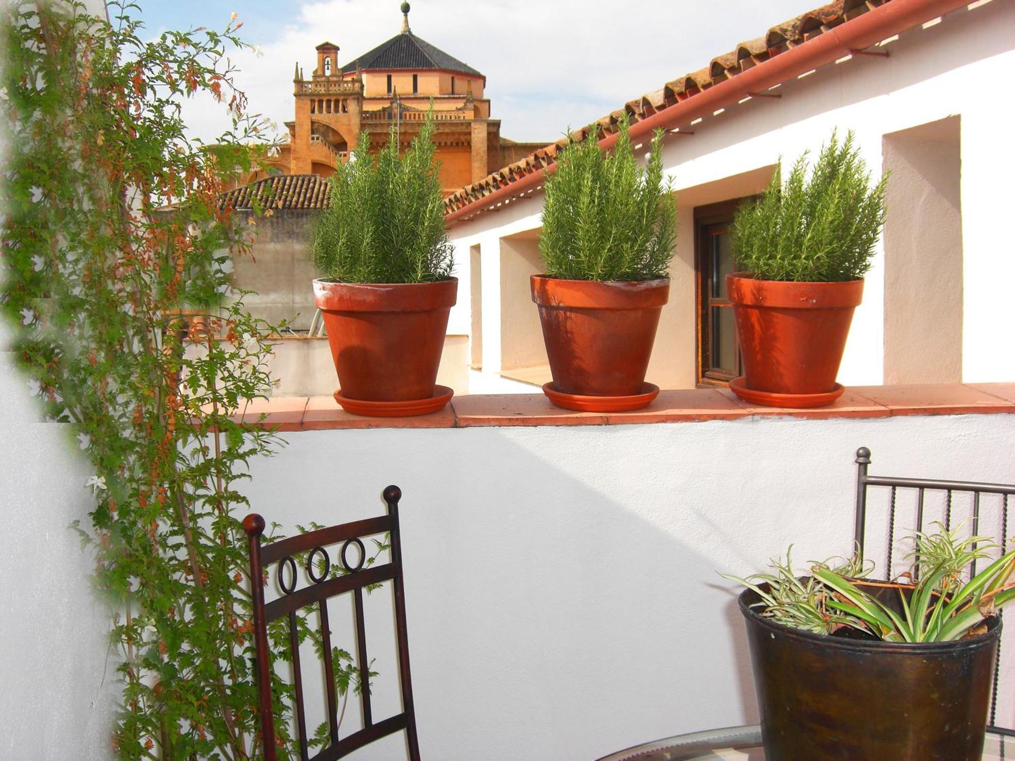 Apartamentos Los Patios De La Juderia Córdoba Buitenkant foto